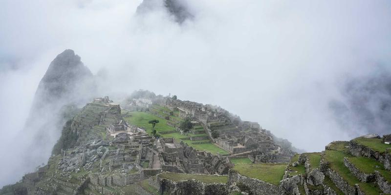 从林海到商海：森林企业管理智慧如何重塑现代客户关系战略